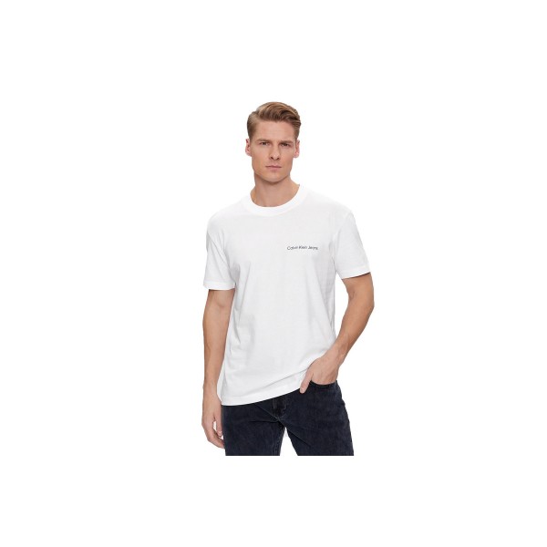 Calvin Klein T-Shirt Ανδρικό (J30J324671 YAF)