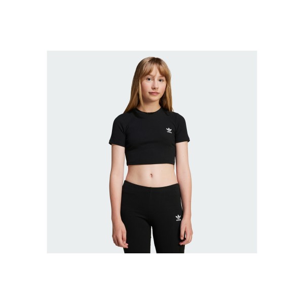 Adidas Originals Ribbed Crop Top Κοντομάνικο (JC8439)
