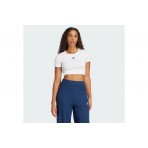 Adidas Originals Ribbed Γυναικείο Κοντομάνικο Crop Top T-Shirt Λευκό