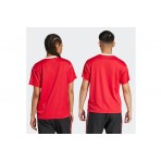 Adidas Originals Manchester United Icon T-Shirt (JF0386)