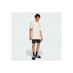 Adidas Originals Skeleton Ανδρικό Κοντομάνικο T-Shirt Μπεζ
