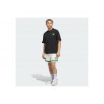 Adidas Originals Unisex Μπασκετική Βερμούδα Εκρού, Πράσινη