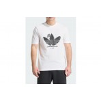 Adidas Originals Juventus Graphic Ανδρικό Κοντομάνικο T-Shirt Λευκό, Μαύρο