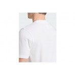 Adidas Originals Juventus Graphic Ανδρικό Κοντομάνικο T-Shirt Λευκό, Μαύρο