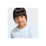 Adidas Originals Regular Waffle Σετ Με Σορτς (KC8083)