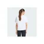 Adidas Originals Trefoil Boxy T-Shirt Γυναικείο (KD6225)