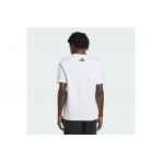 Adidas Performance Mercedes-Amg Petronas F1 Dna Graphic T-Shirt Ανδρικό (KE8164)