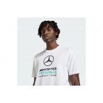 Adidas Performance Mercedes-Amg Petronas F1 Dna Graphic T-Shirt Ανδρικό (KE8164)