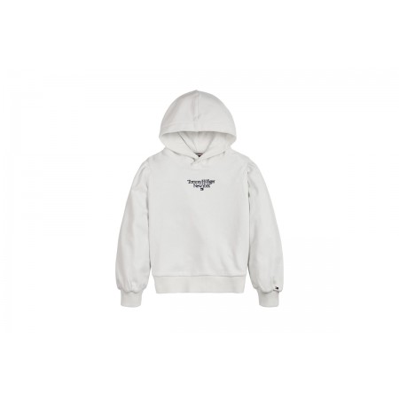 Tommy Jeans Graphic Hoodie L-S Hoodie 