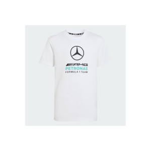 Adidas Performance Mercedes - Amg Petronas F1 Dna Graphic T-Shirt (KQ8082)