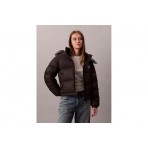 Calvin Klein Short Down Μπουφάν Puffer Γυναικείο (LV047D501G UB1)