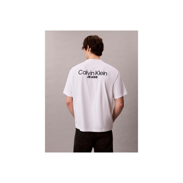 Calvin Klein Back Logo T-Shirt Ανδρικό (LV04RD825G YAA)