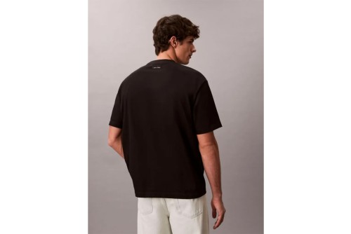 Calvin Klein Graphic Seasonal T-Shirt Ανδρικό (LV04RE827G UB1)