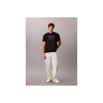 Calvin Klein Graphic Seasonal T-Shirt Ανδρικό (LV04RE827G UB1)