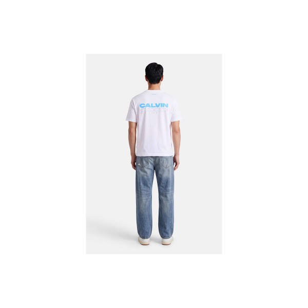 Calvin Klein Relaxed Back Logo T-Shirt Ανδρικό (LV04RG827G YAF)