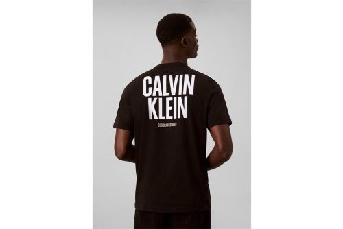 Calvin Klein Logo Graphic T-Shirt Ανδρικό (LV04RH816G UB1)