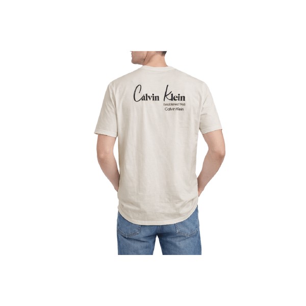 Calvin Klein T-Shirt Ανδρικό (LV14RF802G 2JX)