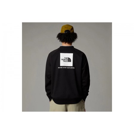 The North Face M Raglan Μπλούζα Με Λαιμόκοψη Ανδρική 