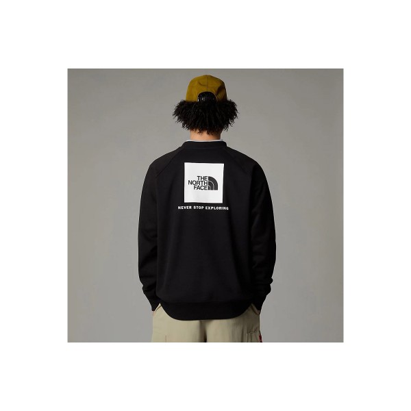 The North Face M Raglan Μπλούζα Με Λαιμόκοψη Ανδρική (NF0A89FAJK31)