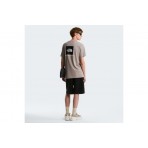 The North Face Evolution NSE Box Regular Ανδρικό Κοντομάνικο T-Shirt Γκρι