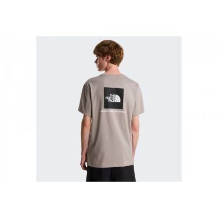 The North Face Evolution Nse Box Regular T-Shirt Ανδρικό 