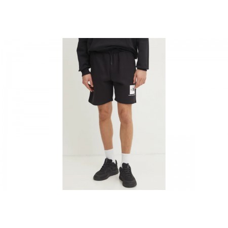 The North Face M Box Nse Regular Βερμούδα Αθλητική Ανδρική 