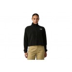 The North Face Glacier Fleece Γυναικεία Μακρυμάνικη Μπλούζα με Φερμουάρ Μαύρη