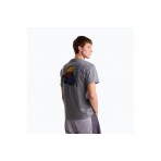 The North Face BCD Celebration Ανδρικό Κοντομάνικο T-Shirt Γκρι Σκούρο
