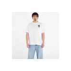 The North Face Icon Celebration Regular Graphic Ανδρικό Κοντομάνικο T-Shirt Λευκό