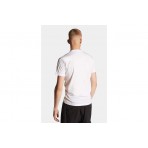 Dsquared2 Icon Cool Fit Ανδρικό Κοντομάνικο T-Shirt Λευκό