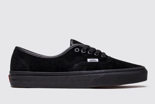 Vans Authentic Sneakers (VN0A2Z5I18L1)