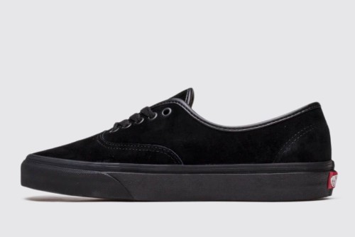 Vans Authentic Sneakers (VN0A2Z5I18L1)