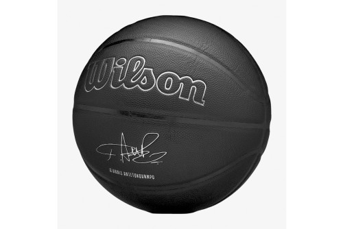 Wilson Nba Player Evergreen Giannis Antetokounmpo Size 7 Μπάλα Μπάς (WZ4026701XB7)