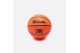 Wilson Nba Mini Μπασκέτα (WZ6017401)