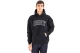 Obey Institute Extra Heavy  Hoodie Ανδρικό (112470195 BLACK)