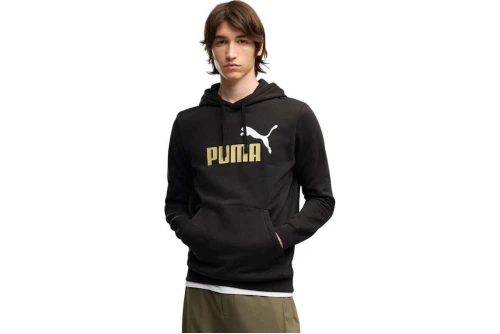 Puma Essentials 2 Color No.1 Logo Hoodie Ανδρικό (684711 61)