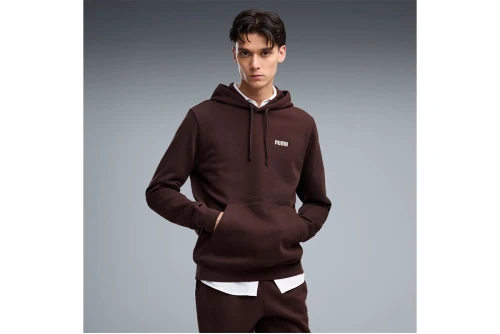Puma Essentials 2 Color Small No.1 Logo Hoodie Ανδρικό (684718 33)