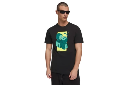 Puma Graphic T-Shirt Ανδρικό (691782 01)