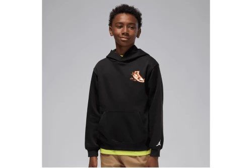 Jordan Air Jordan Has Landed Hoodie (95F281 023)
