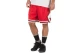 Nike NBA Chicago Bulls Icon Edition Dri-FIT Ανδρική Μπασκετική Βερμούδα Κόκκινη