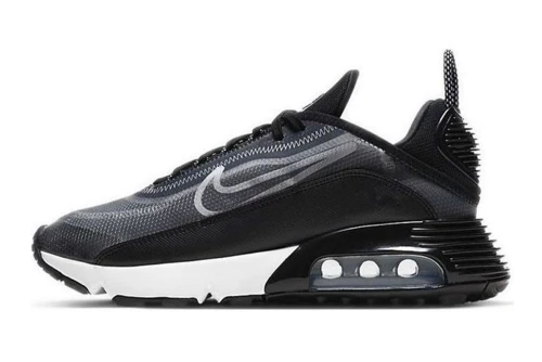 Nike W Air Max 2090 (CK2612 002)