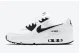 Nike Air Max 90 (CT1028 103)