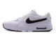Nike Air Max Sc Sneakers (CW4555 102)