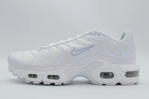 Nike Air Max Plus Gs Sneakers (CW7044 100)