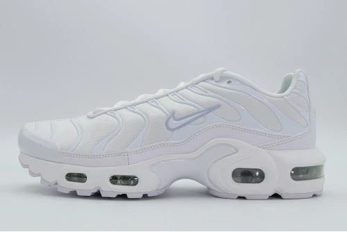 Nike Air Max Plus Gs Sneakers (CW7044 100)