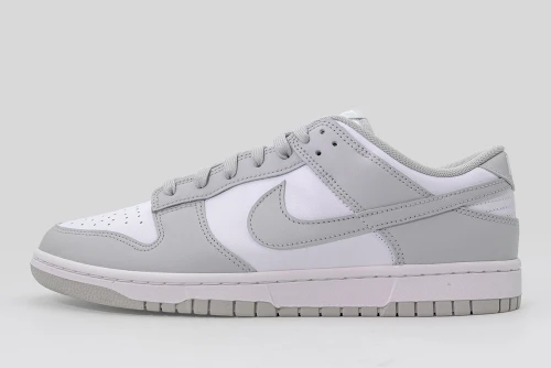 Nike Dunk Low Retro Sneakers (DD1391 103)