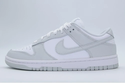 Nike Dunk Low Sneakers (DD1503 103)