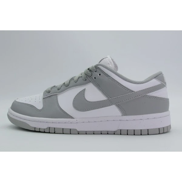 Nike Dunk Low Next Nature Sneakers (DD1873 113)