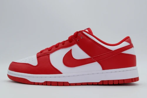 Nike Dunk Low Next Nature Sneakers (DD1873 116)