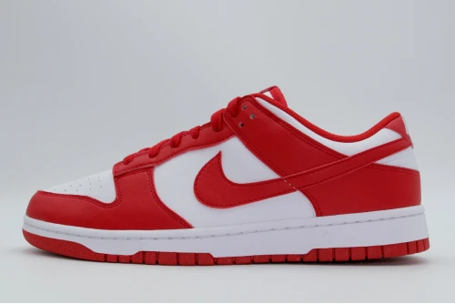 Nike Dunk Low Next Nature Sneakers (DD1873 116)